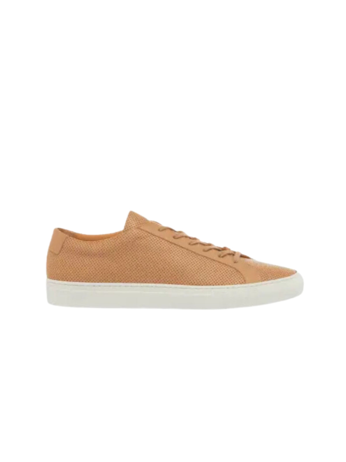 Common Projects Achilles Perforated Tan