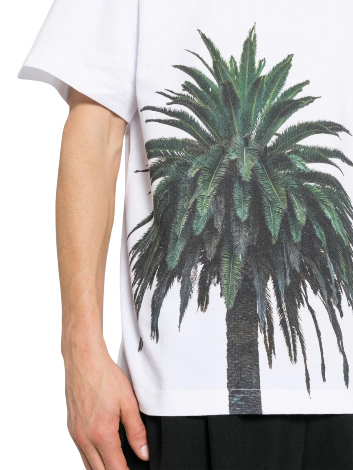 Blue Sky Inn T-Shirt Royal Palm Tree White